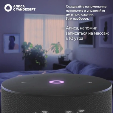Умная колонка Яндекс Станция Мини 3 YNDX-00027BLK Черная - фото в интернет-магазине Арктика